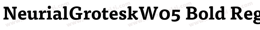 NeurialGroteskW05 Bold Regular字体转换